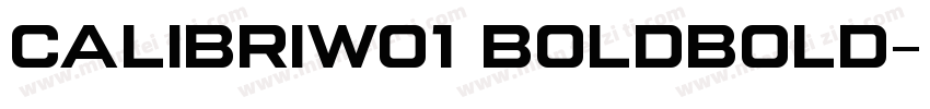 CalibriW01 BoldBold字体转换